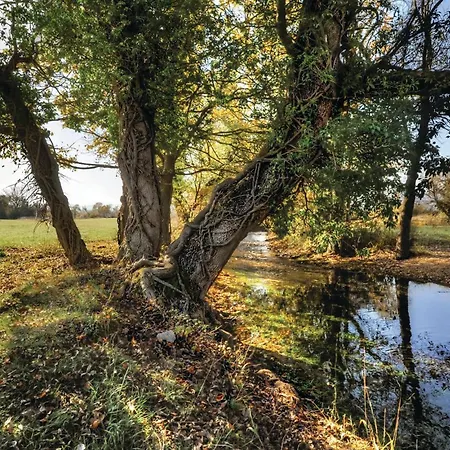 Beautiful In Nyaraló